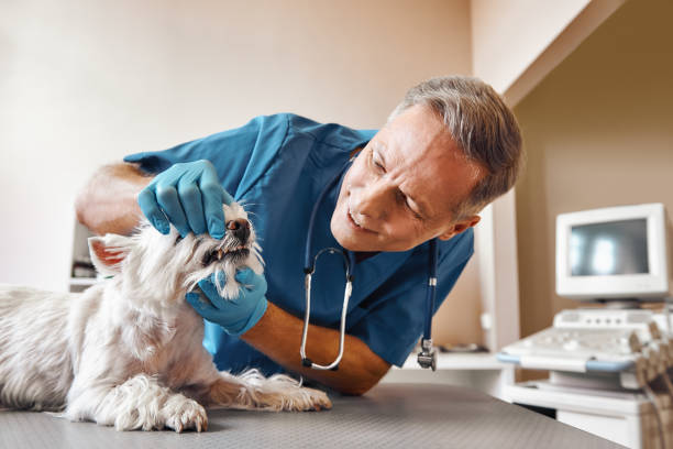 Best Emergency Wisdom Teeth Removal in Matta, WA